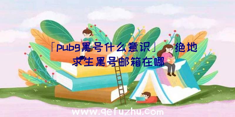 「pubg黑号什么意识」|绝地求生黑号邮箱在哪